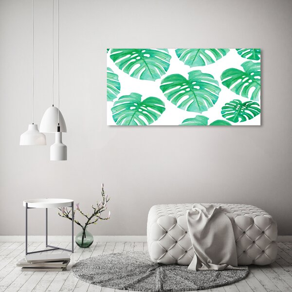 Akrilkép Monstera