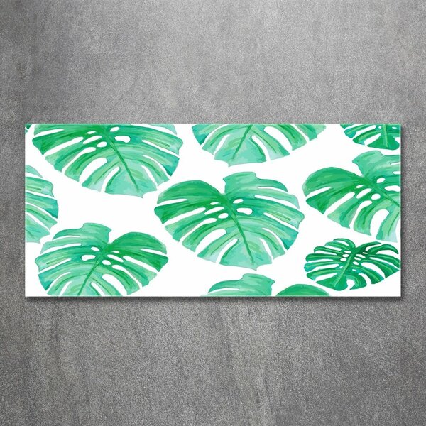 Akrilkép Monstera
