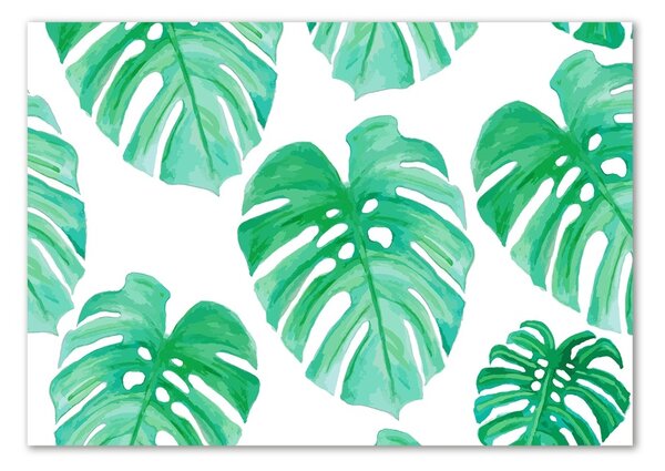 Akrilkép Monstera