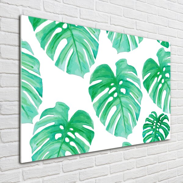 Akrilkép Monstera