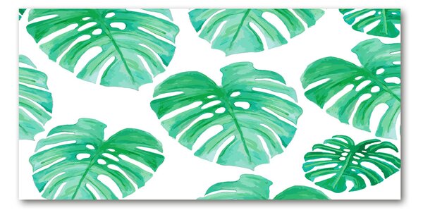 Akrilkép Monstera