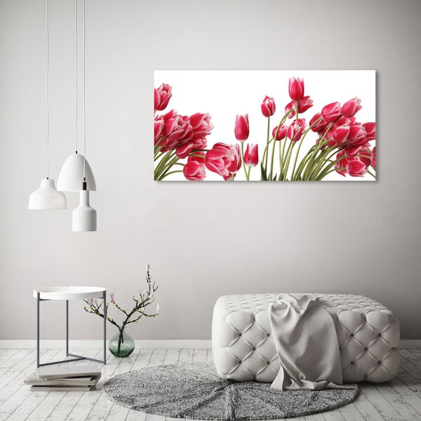 Akrilkép Piros tulipánok