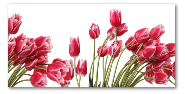 Akrilkép Piros tulipánok