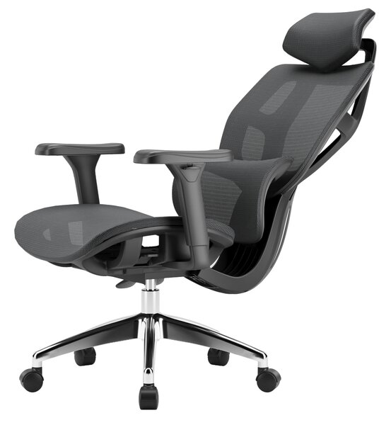 Ergonomikus irodai szék, forgószék, fekete hálós (E13 BLACK)