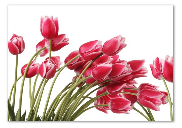 Akrilkép Piros tulipánok