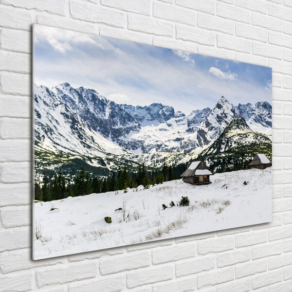 Akril üveg kép Hale tatry