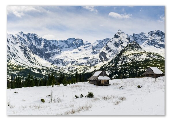 Akril üveg kép Hale tatry