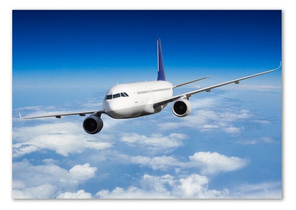 Üvegkép falra Plane a levegőben