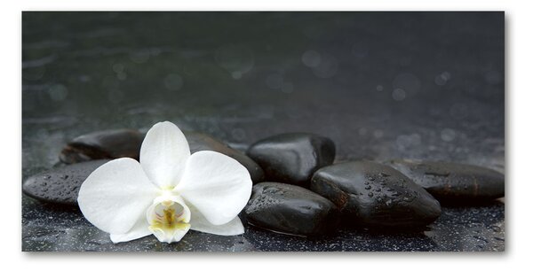 Akrilkép Orchidea