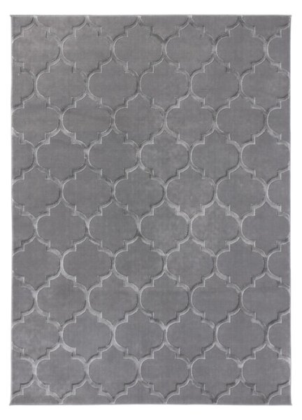ELSHER szőnyeg, 120x180, szürke