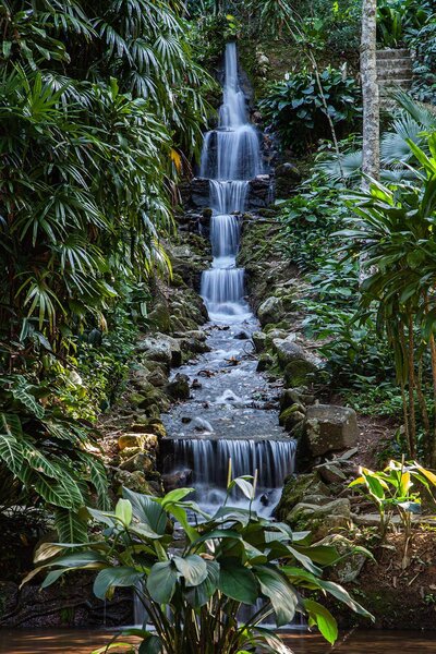 Fotótapéta Vízesés a dzsungelben, Természet fotótapéta, Népszerű fotótapéta, u47370 - Tapeko.hu
