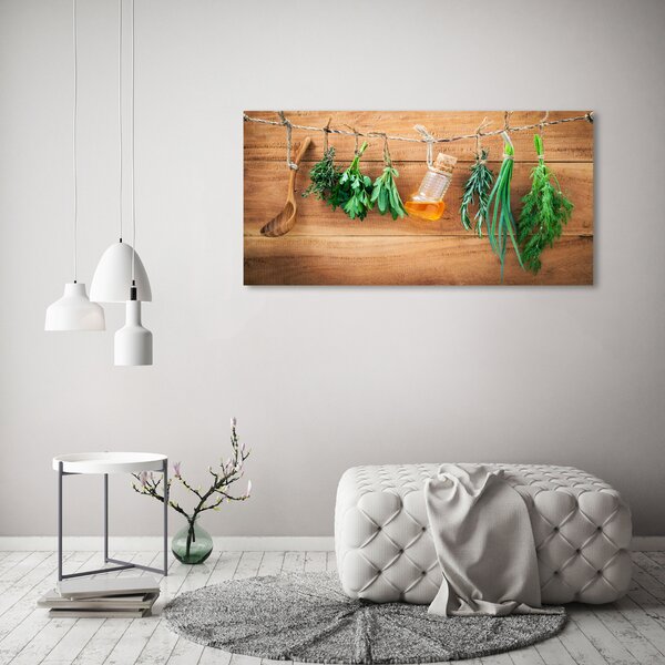 Akril üveg kép Herbs egy húr