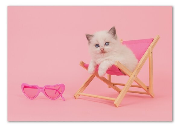Üvegkép Cat egy nyugágyon