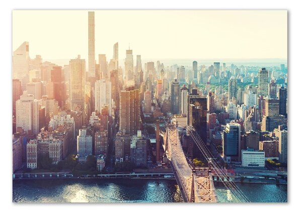 Akrilüveg fotó New york-i járat madár