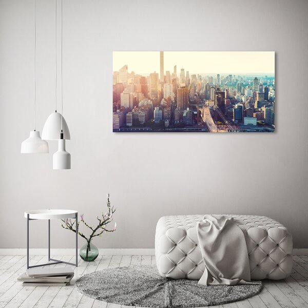 Akrilüveg fotó New york-i járat madár