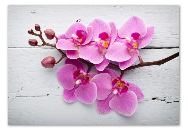 Akrilkép Orchid a fán