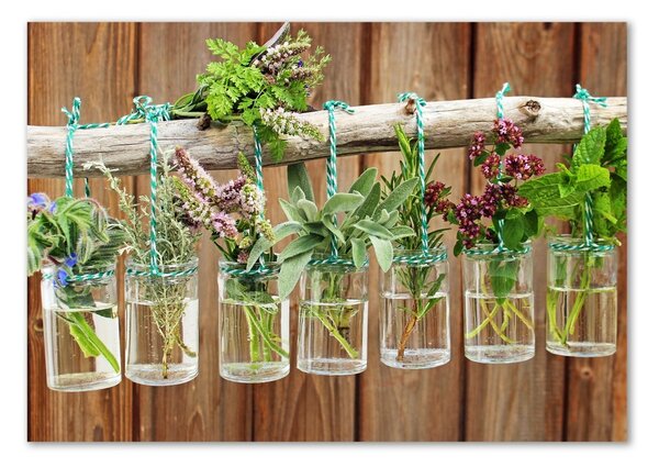 Akrilkép Herbs a tégelyek