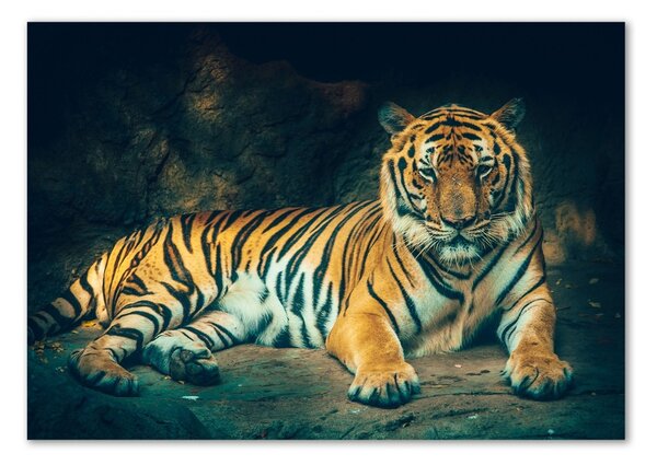 Akrilkép Tiger cave