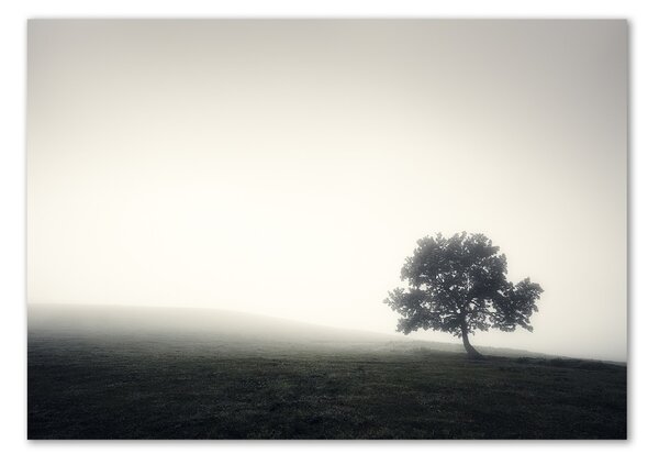 Akril üveg kép Lone tree