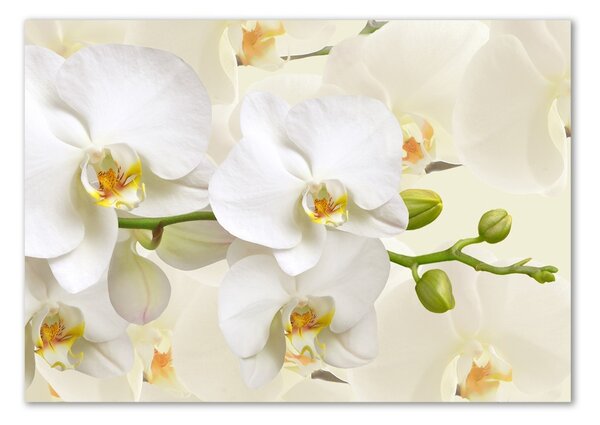 Egyedi üvegkép Orchidea