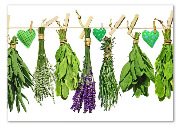 Akrilkép Herbs egy húr