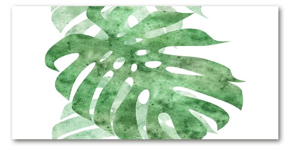 Akrilkép Monstera