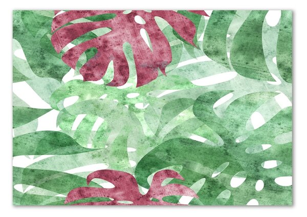Akrilkép Monstera