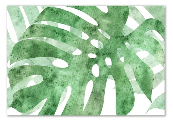 Akrilkép Monstera