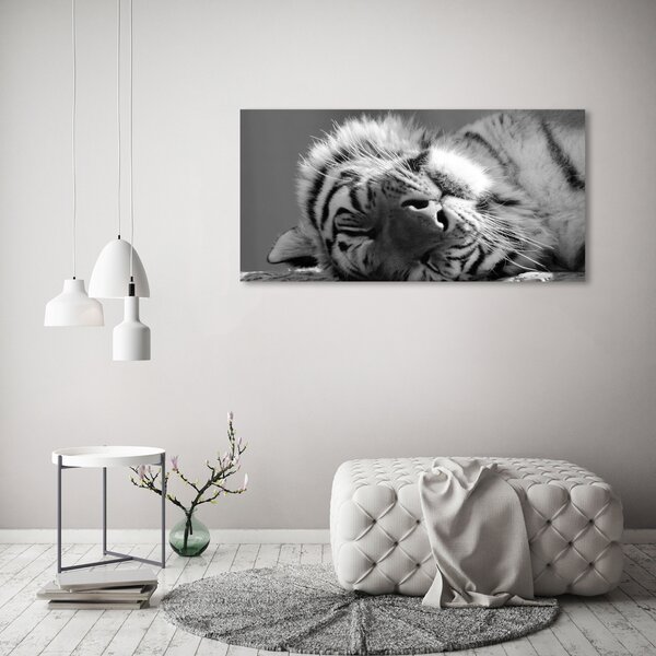 Akrilkép Alvó tigris