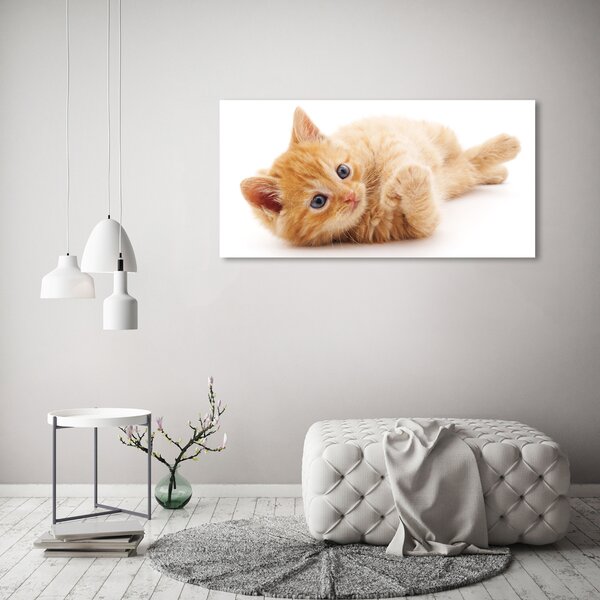 Akrilkép Red cat