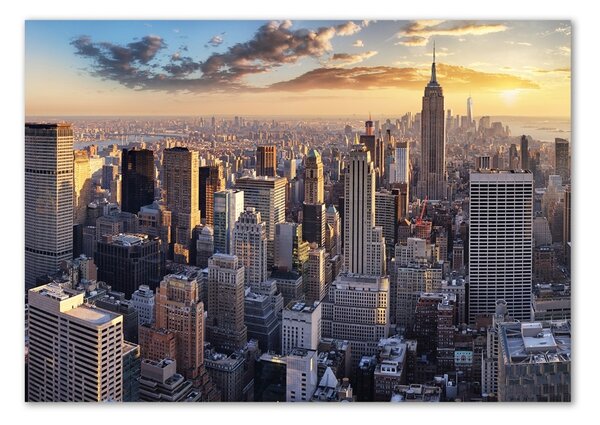 Akrilüveg fotó New york-i járat madár