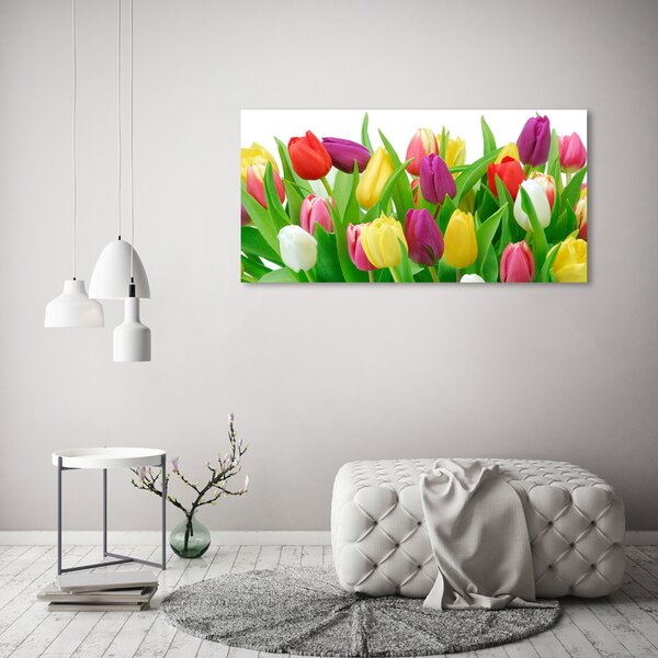 Akrilkép Színes tulipán
