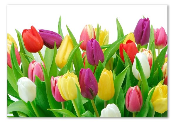 Egyedi üvegkép Színes tulipán