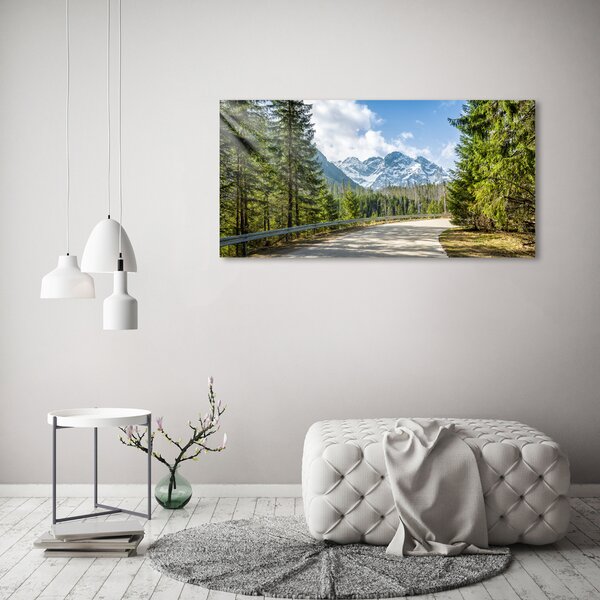 Akril üveg kép Road tatry