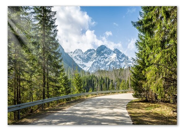 Akril üveg kép Road tatry