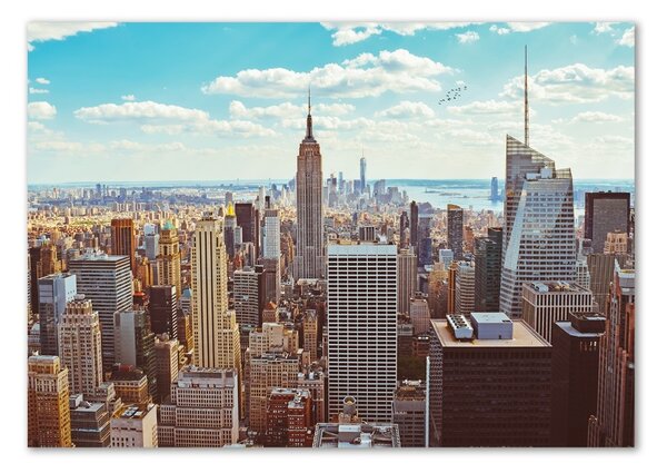 Akrilüveg fotó New york-i járat madár