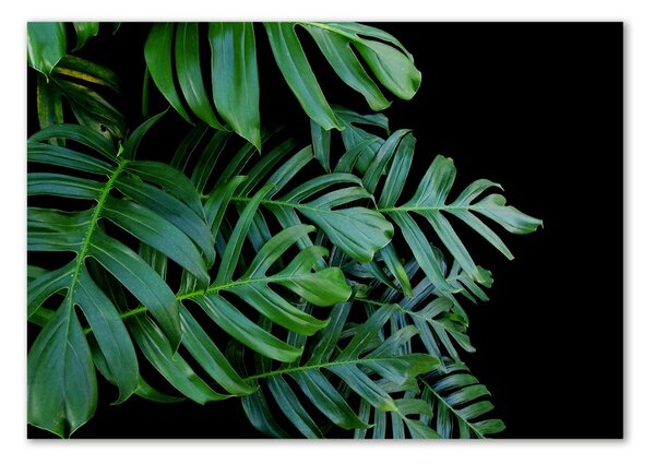 Akrilkép Monstera