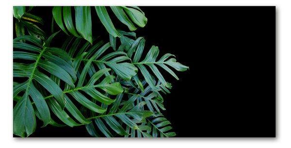 Akrilkép Monstera