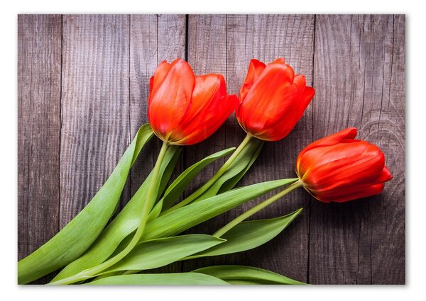 Akrilkép Piros tulipánok