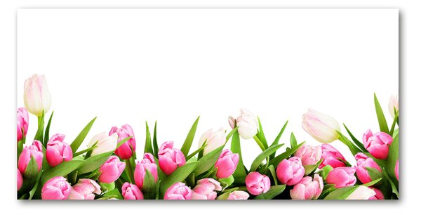 Akrilkép Rózsaszín tulipánok