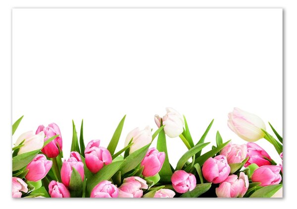 Akrilkép Rózsaszín tulipánok