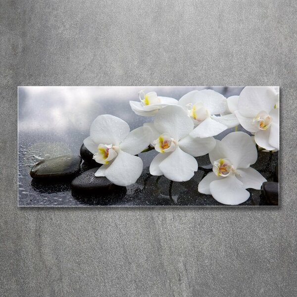 Akrilkép Orchidea