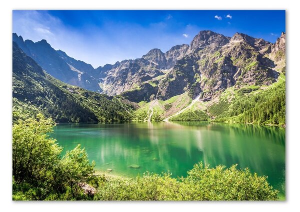 Akril üveg kép Marine szem tatry