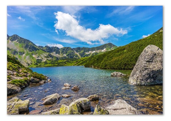 Akril üveg kép Tatra-völgy