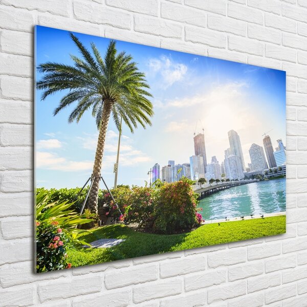 Akrilüveg fotó Miami usa