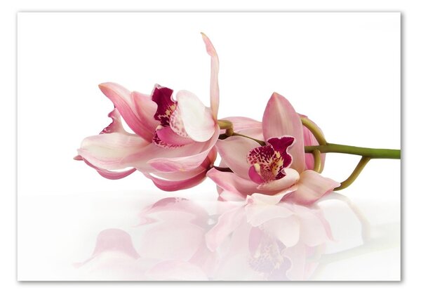 Akrilkép Orchidea