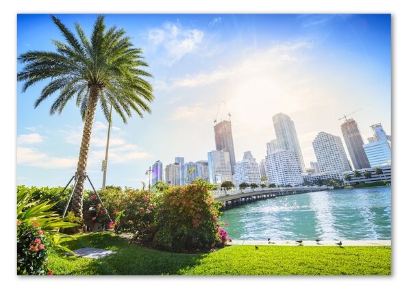Akrilüveg fotó Miami usa