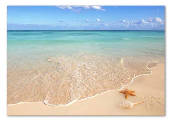 Üvegfotó Starfish a strandon