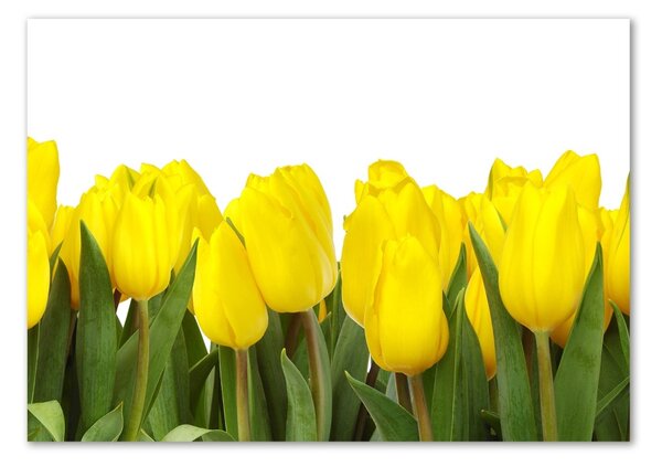 Egyedi üvegkép Sárga tulipánok