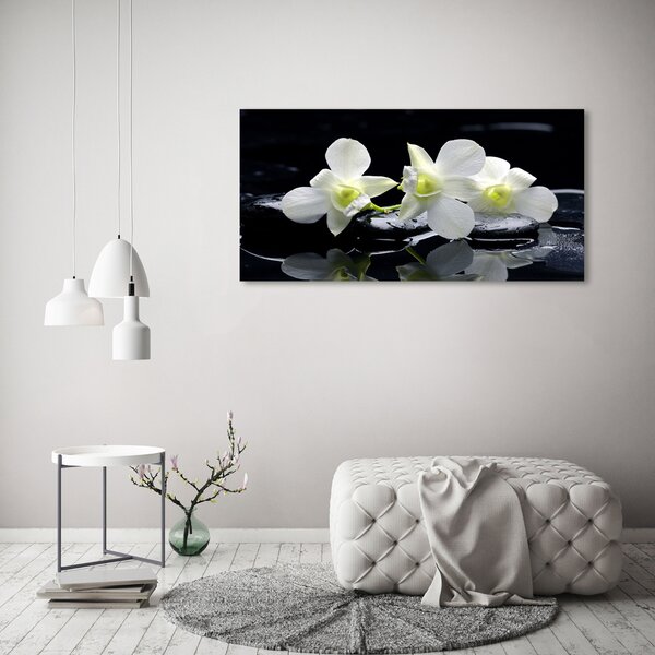 Akrilkép Orchidea